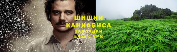 гидра Магас