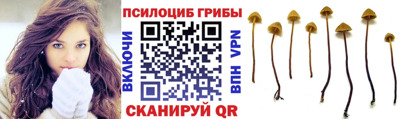 Псилоцибиновые грибы ЛСД  хочу наркоту  Октябрьский 